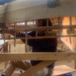 Hap riveting planks